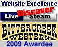 DLS/BCWRR Web Excellence Award 2009