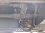 Picture Title - Cat in the caboose 