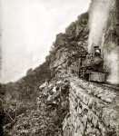 Picture Title - Sidewinder: 1890