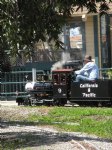 Picture Title - Jim pulling into Wilson Park Station