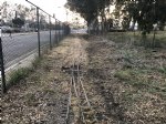 Picture Title - Crenshaw line cleared off