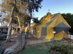 Picture Title - Termite tenting 