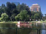 Picture Title - Swan boat at Boston Common  garden 