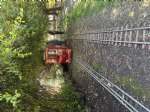 Picture Title - Cutting limbs for the red car to clear